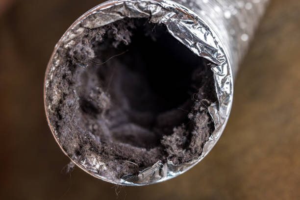 Best Affordable HVAC Duct Cleaning  in Newbern, TN