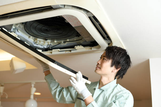 Best Residential Air Duct Cleaning  in Newbern, TN