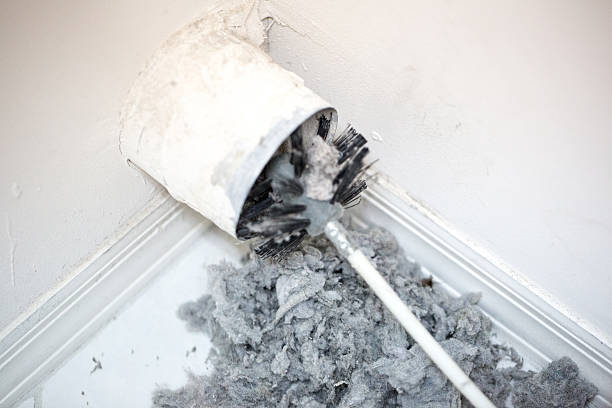 Best Ventilation Cleaning Services  in Newbern, TN